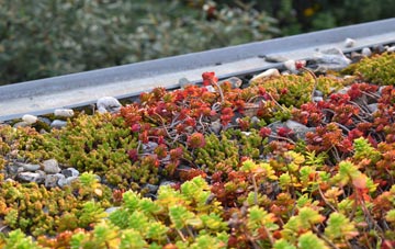 the cost of Woollensbrook green roof installation