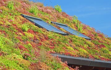 Woollensbrook living roof systems