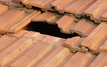 roof repair Woollensbrook, Hertfordshire