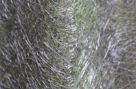 Woollensbrook fibreglass roof work